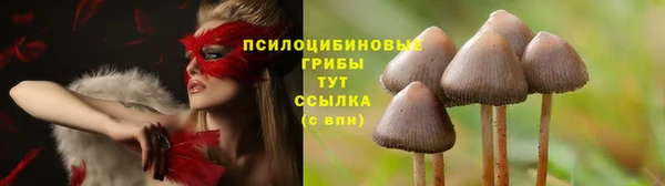амф Заводоуковск