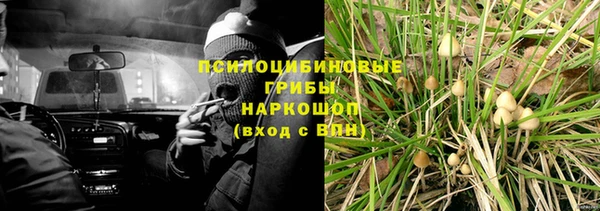 амф Заводоуковск