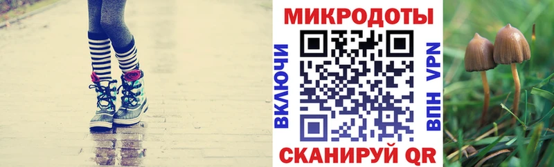 omg Каменка Псилоцибиновые грибы Magic Shrooms